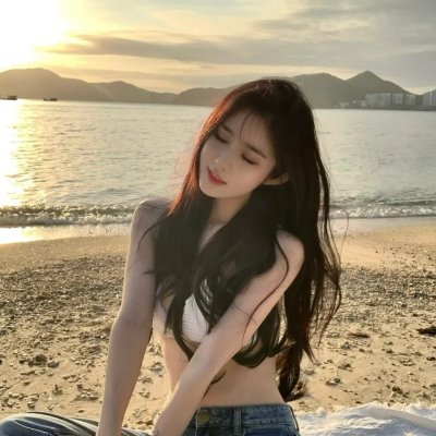 最后的维米尔
